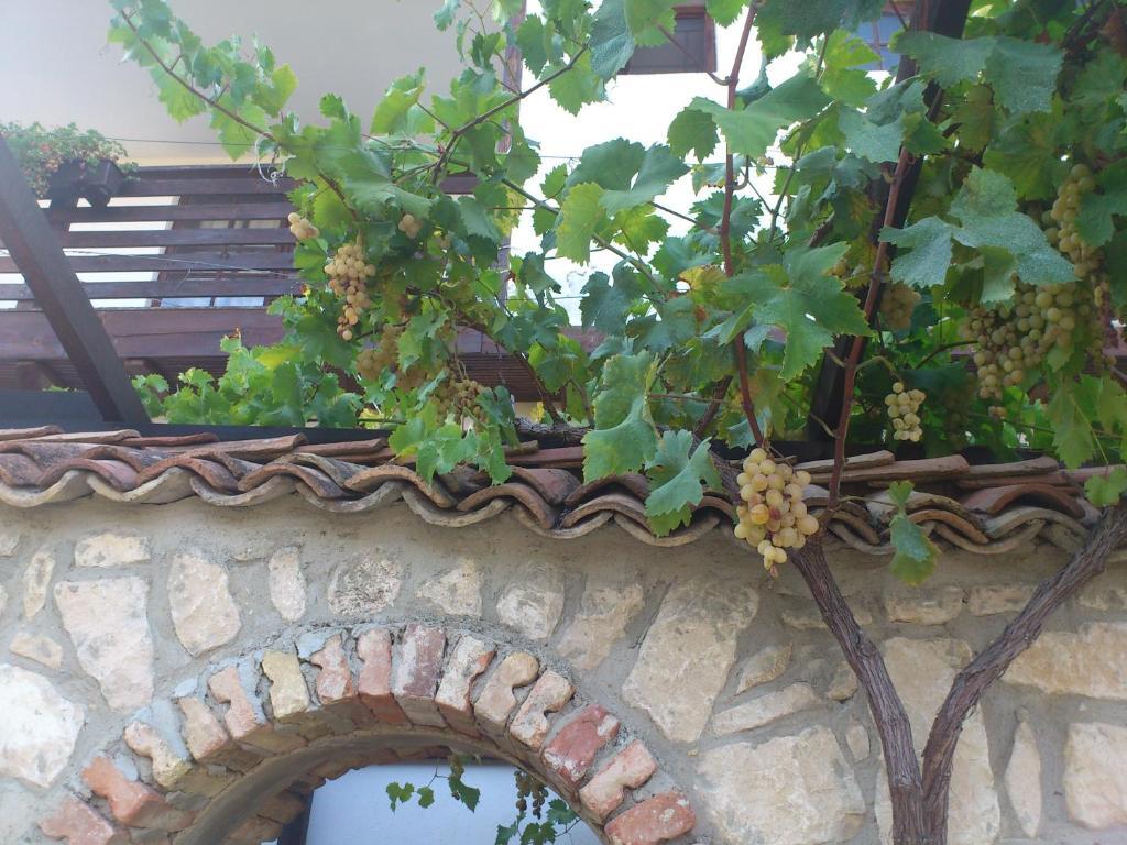 Villa Nasco Golden Sands Luaran gambar